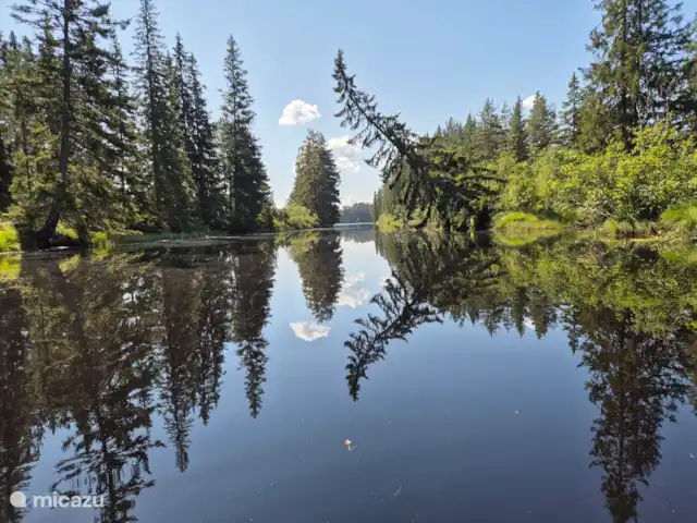 Älvsjö Anderssons en Suecia, Värmland, Lesjöfors - casa vacacional Mientras navegas en canoa (río abajo) te encontrarás con estos hermosos lugares.