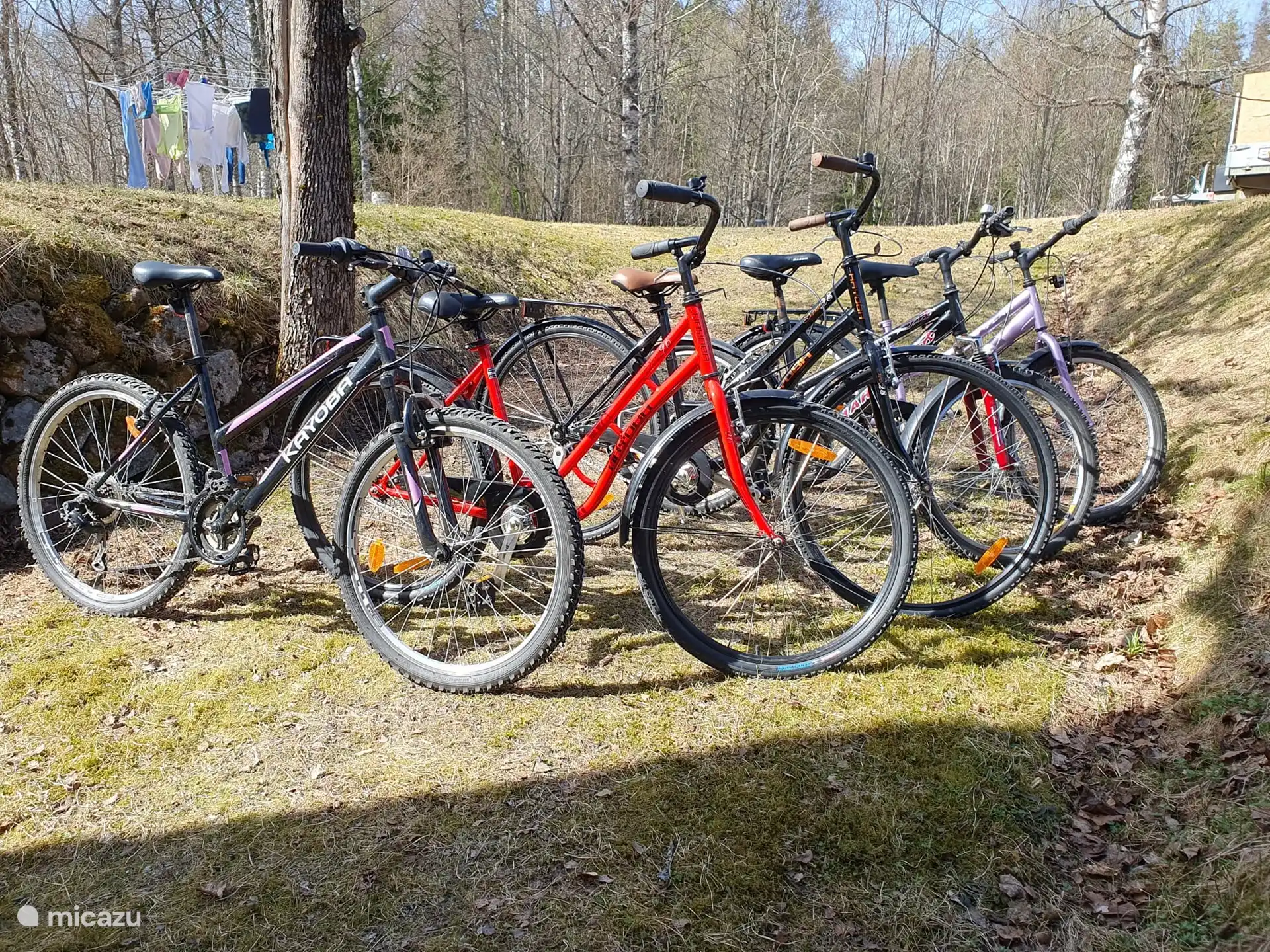 Es stehen 6 Fahrräder zur Verfügung. (1 Fahrrad wird gewartet und wird Mitte Juli 2024 zurückgegeben).