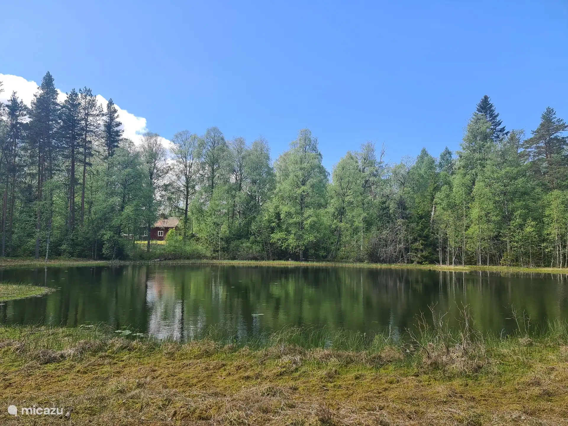 Der kleine See grenzt an den Garten hinter dem Haus. (mit dem Haus im Hintergrund).
