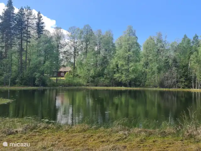 Älvsjö Anderssons en Suecia, Värmland, Lesjöfors - casa vacacional El pequeño lago adyacente al jardín detrás de la casa. (con la casa al fondo).