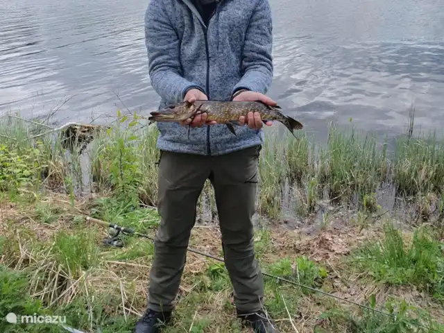 Älvsjö Anderssons en Suecia, Värmland, Lesjöfors - casa vacacional Puedes pescar bien en el gran lago. Aquí hay muchos lucios, percas y cucarachas.