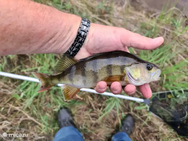 Älvsjö Anderssons en Suecia, Värmland, Lesjöfors - casa vacacional Un bonito bajo captado con un enchufe.