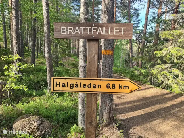 Älvsjö Anderssons en Suecia, Värmland, Lesjöfors - casa vacacional ¡Recomendado! Caminata por Halgaleden en Eksharrad. Picante pero muy bonito.