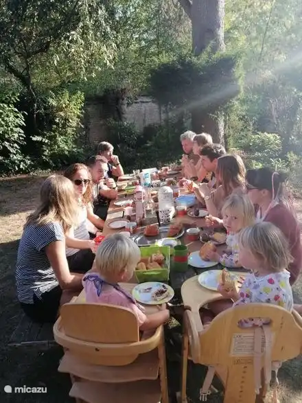 table de pique-nique pour le petit déjeuner au soleil du matin