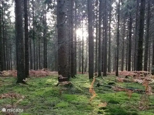 El castillo en Francia, Aisne, Hirson - casa de campo / castillo mucho bosque