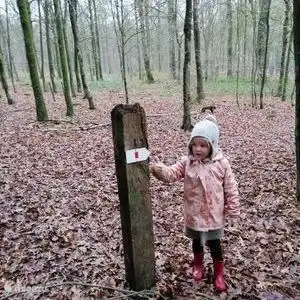 balades balisées pour petits et grands