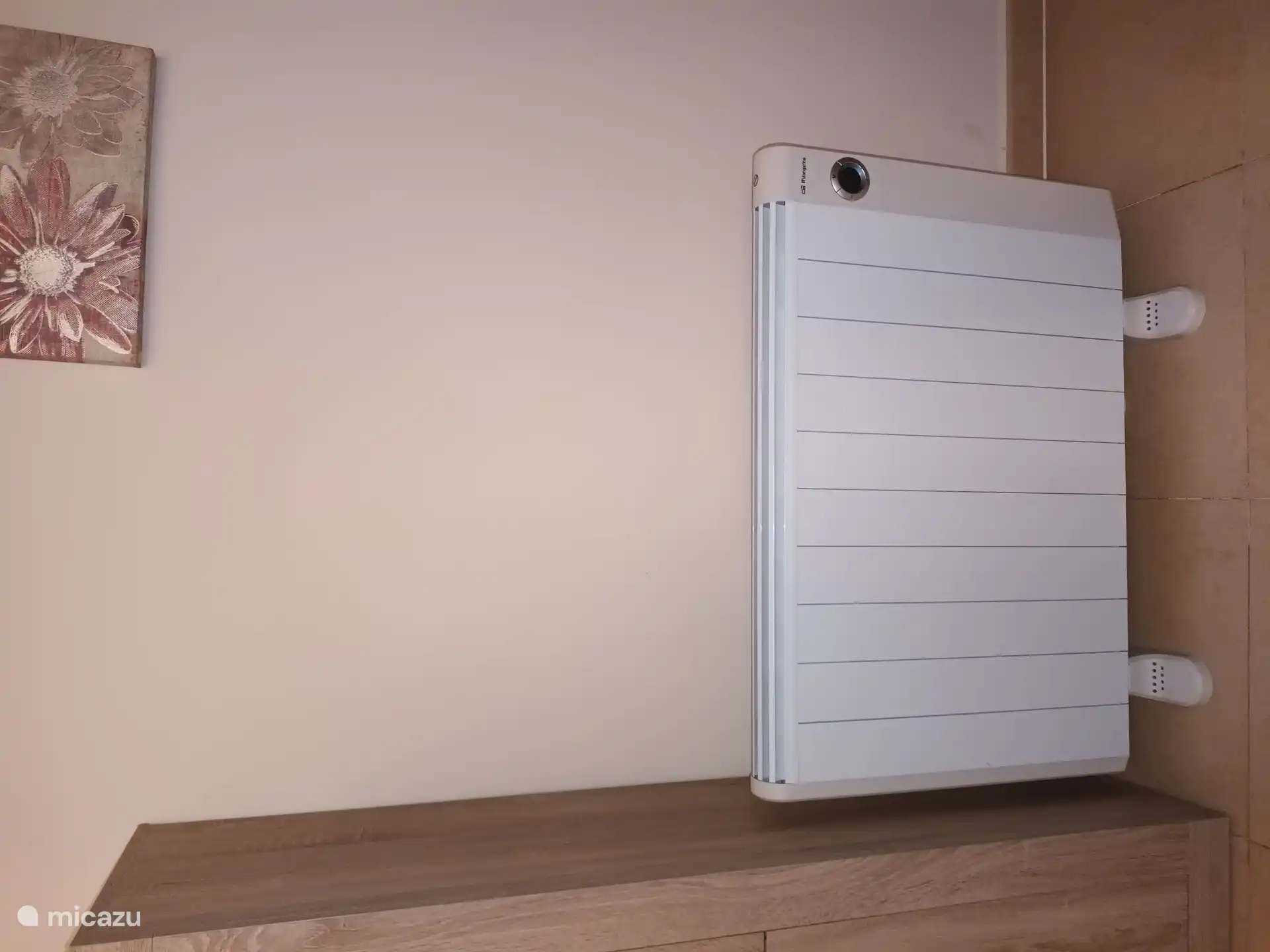 Chauffage électrique 