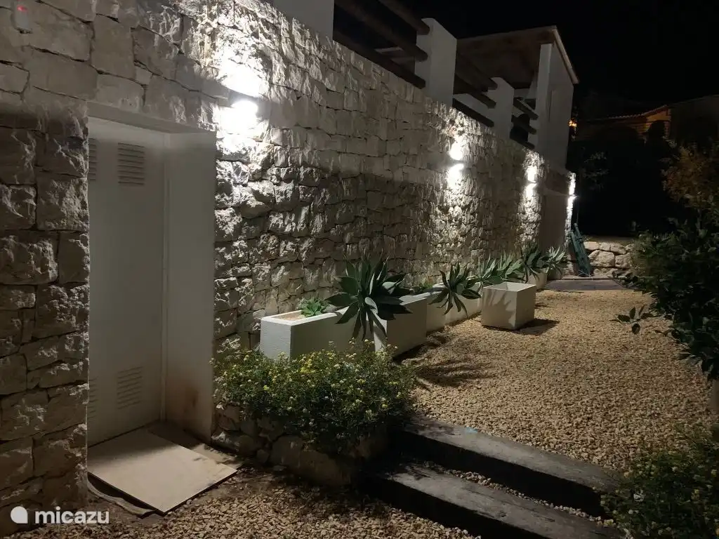 in front of the house