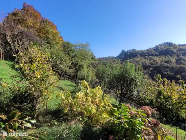 Ca Bella Vista | Italie, Lacs italiens , Miasino - maison de vacances Voir la chambre 1 à l’étage