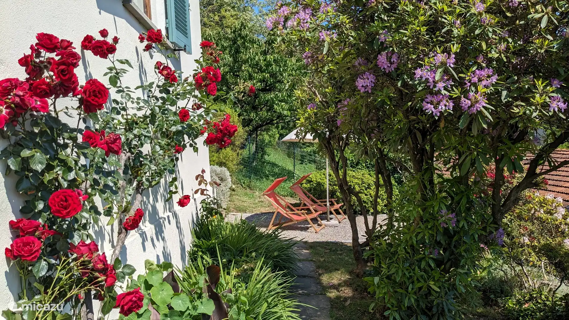Blick auf die Terrasse im Garten unten