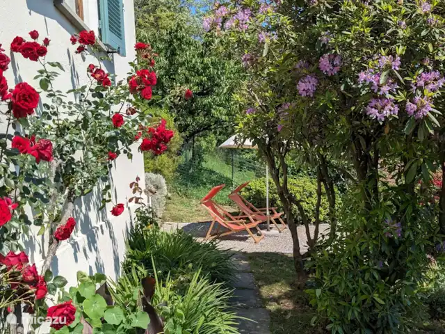 Ca Bella Vista | Italie, Lacs italiens , Miasino - maison de vacances Vue sur la terrasse dans le jardin en contrebas
