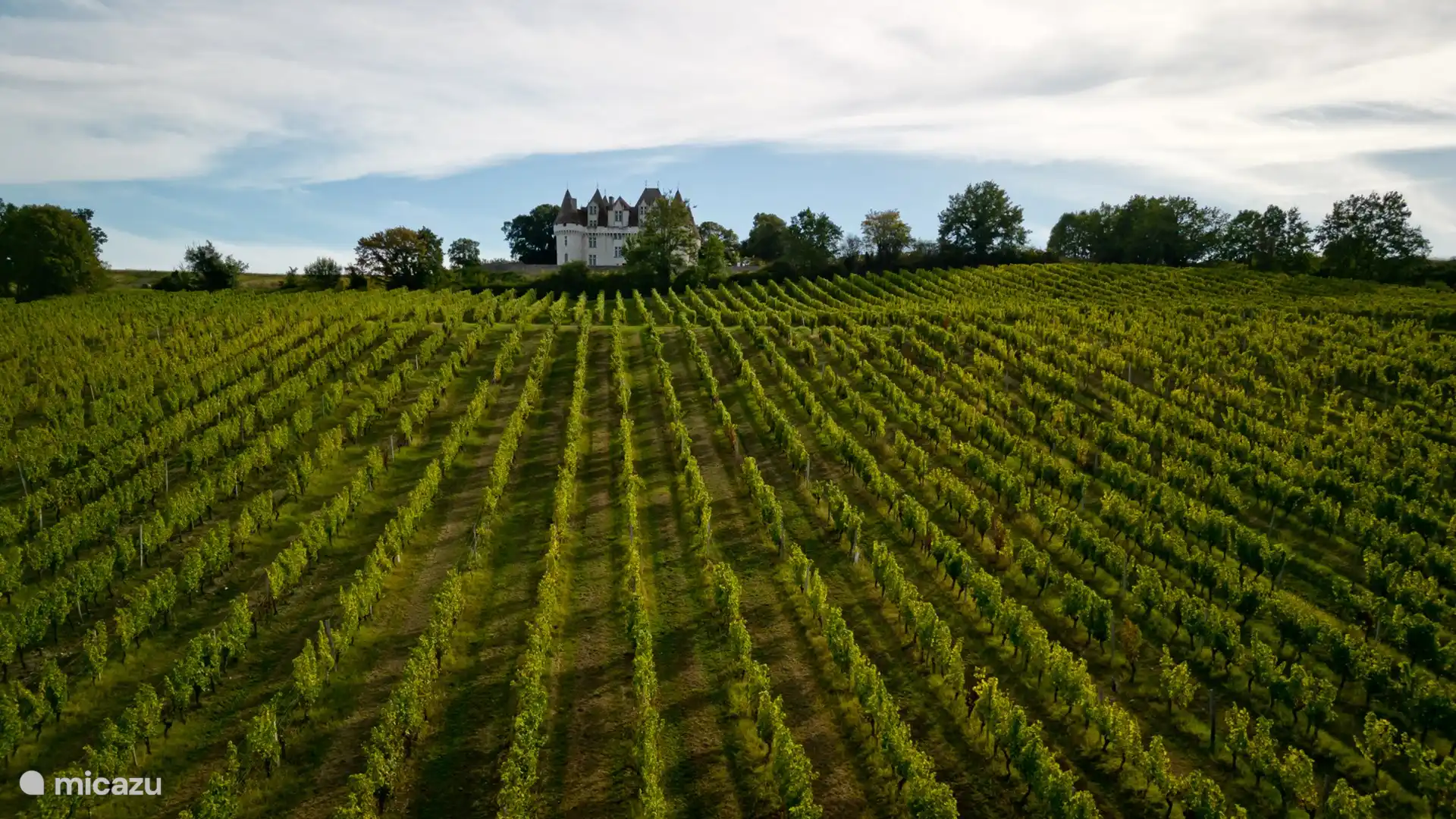 Weinberge in der Nähe von Bergerac