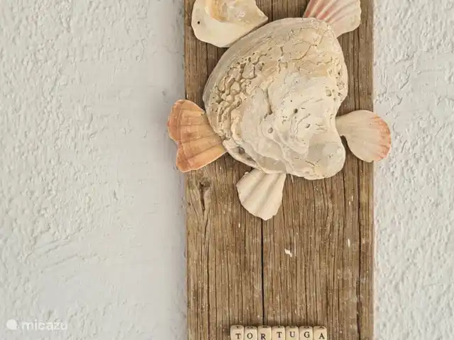 apartamento en Curazao, Curazao Centro, Jongbloed – Tortuga tortuga