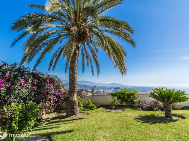 Villa Miranda | Espagne, Andalousie, Salobrena - villa Palmier tropical dans le jardin