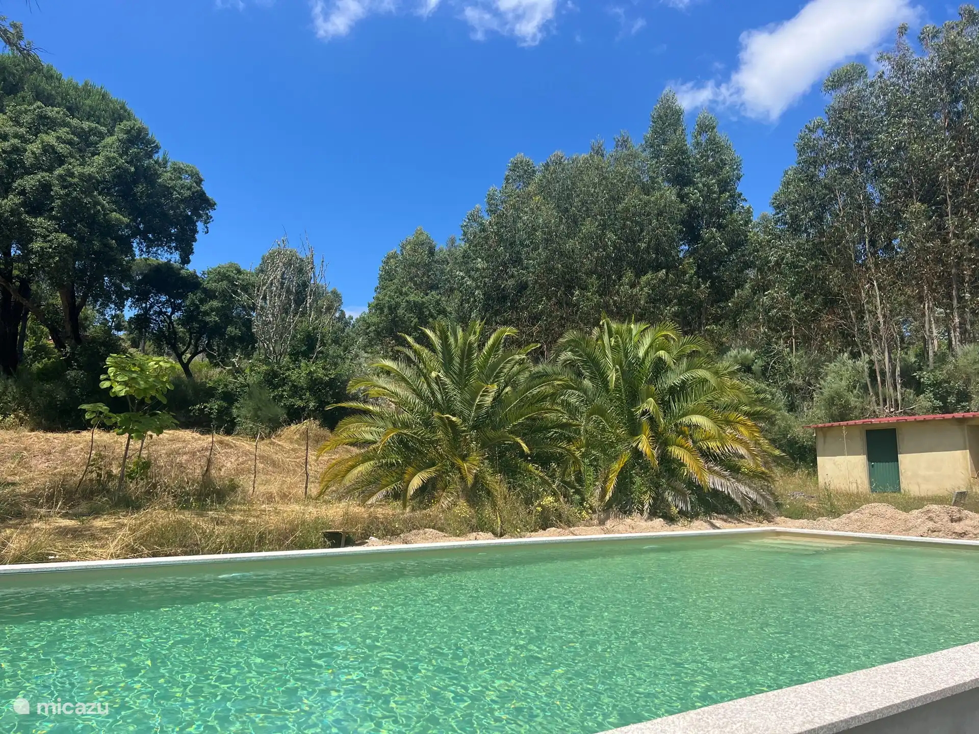 Unser schönes Schwimmbad von 10x5 Metern, wo der Bereich noch gepflastert werden muss.