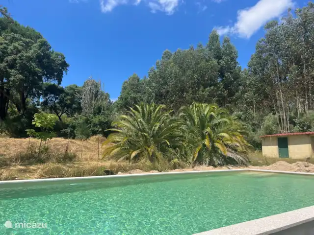 Location de Vacances Portugal, Coimbra, Covas, cabane en bois / lodge - Casa Vista Bonita Notre belle piscine de 10x5 mètres, où la zone doit encore être pavée.