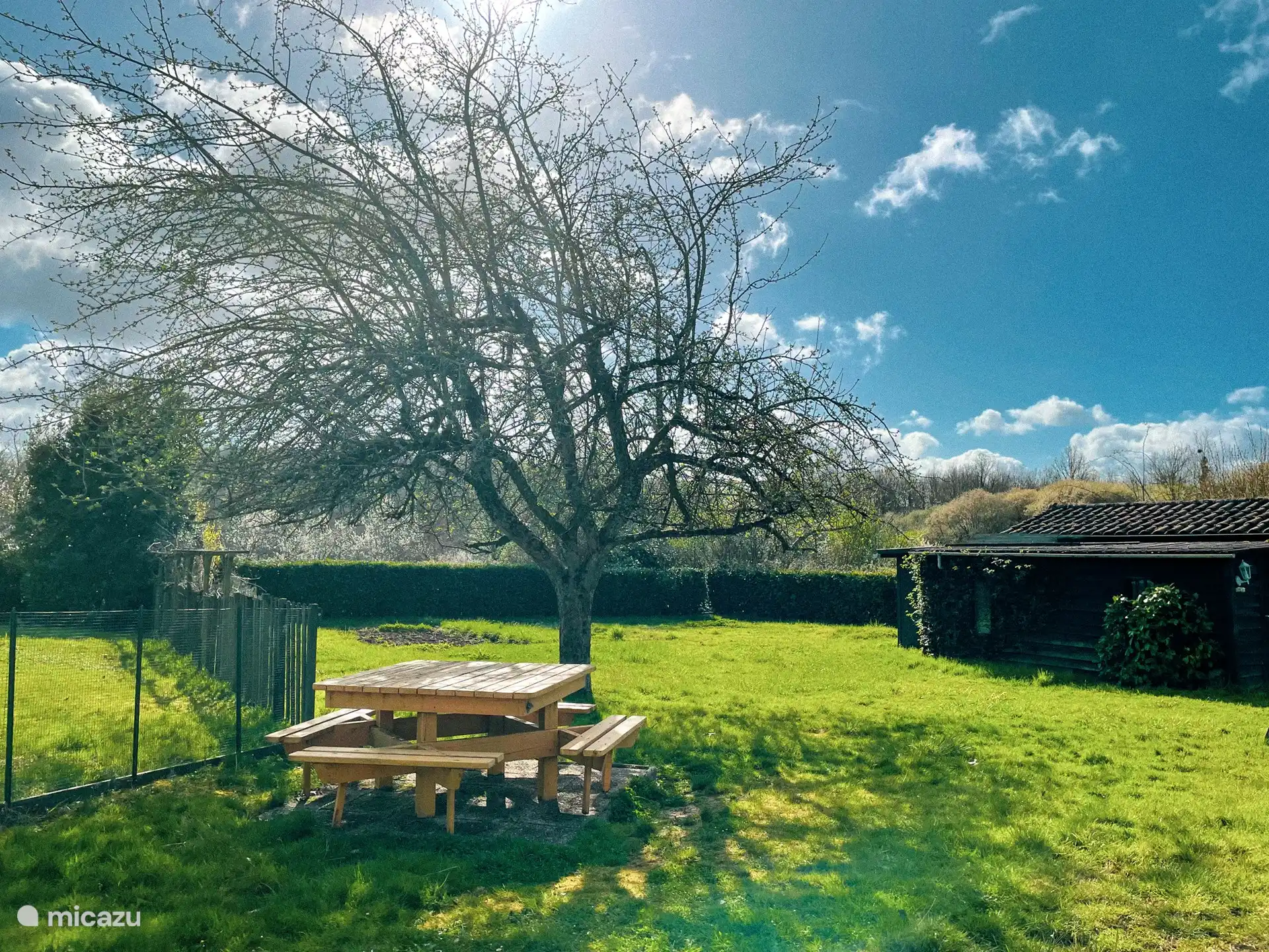 El jard&#237;n detr&#225;s de la casa.