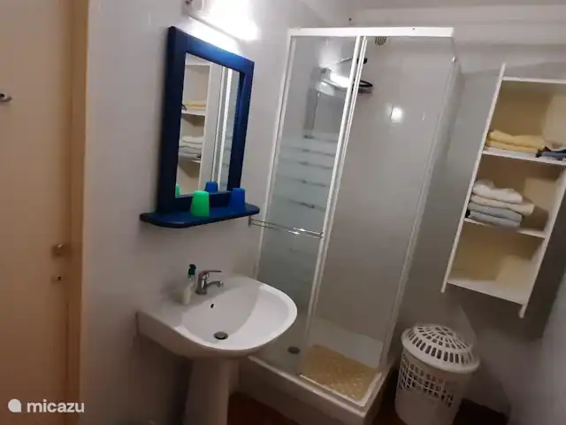 La chouette hulotte au Petit Bouleau | France, Dordogne, Saint-Pardoux-la-Rivière - appartement Salle de bain avec douche, lavabo et WC de l’appartement De Bosuil