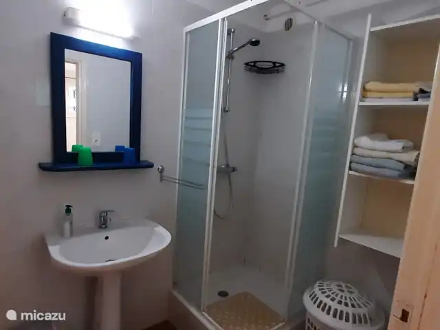 La chouette hulotte au Petit Bouleau | France, Dordogne, Saint-Pardoux-la-Rivière - appartement Les serviettes de bain et les serviettes sont abondantes