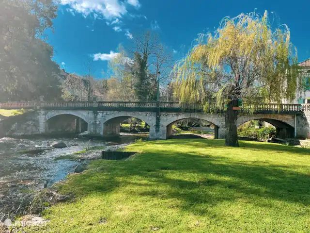 La chouette hulotte au Petit Bouleau | France, Dordogne, Saint-Pardoux-la-Rivière - appartement Pont à Saint Pardoux la Rivière