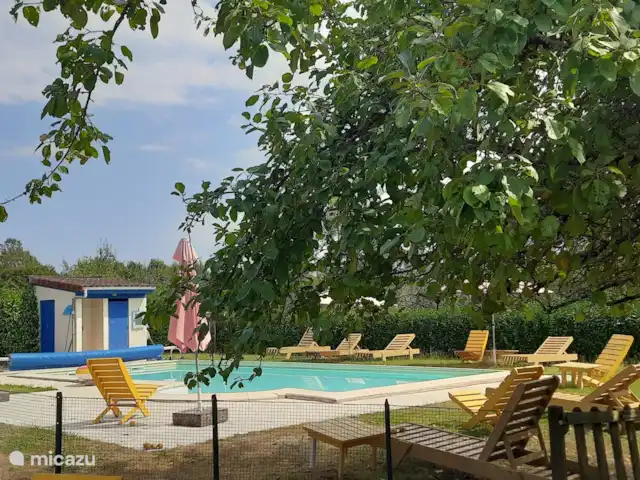 La chouette hulotte au Petit Bouleau | France, Dordogne, Saint-Pardoux-la-Rivière - appartement La piscine du Petit Bouleau est en accès libre pour tous les clients.