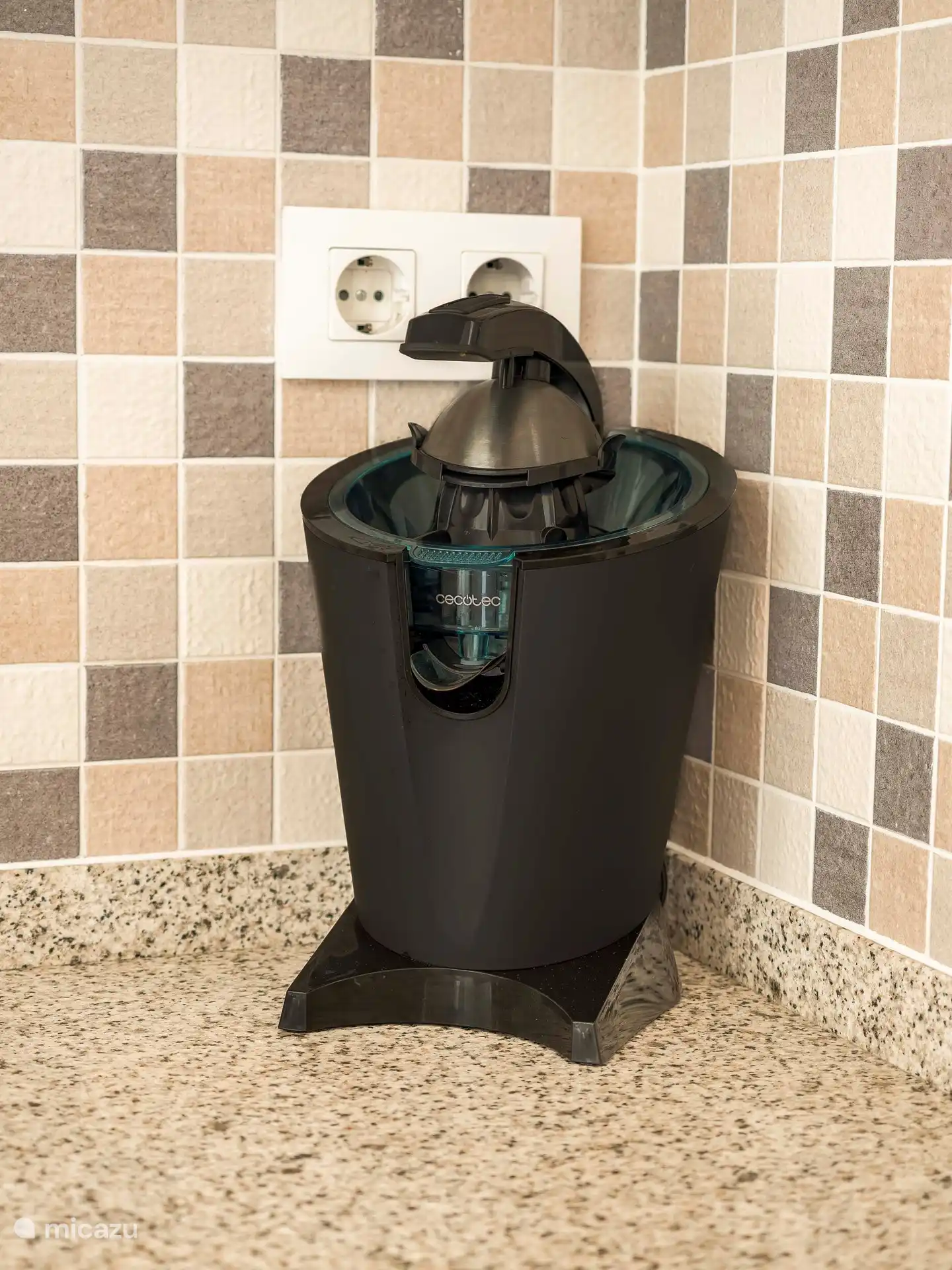 Cueillez des oranges et des citrons dans le jardin commun