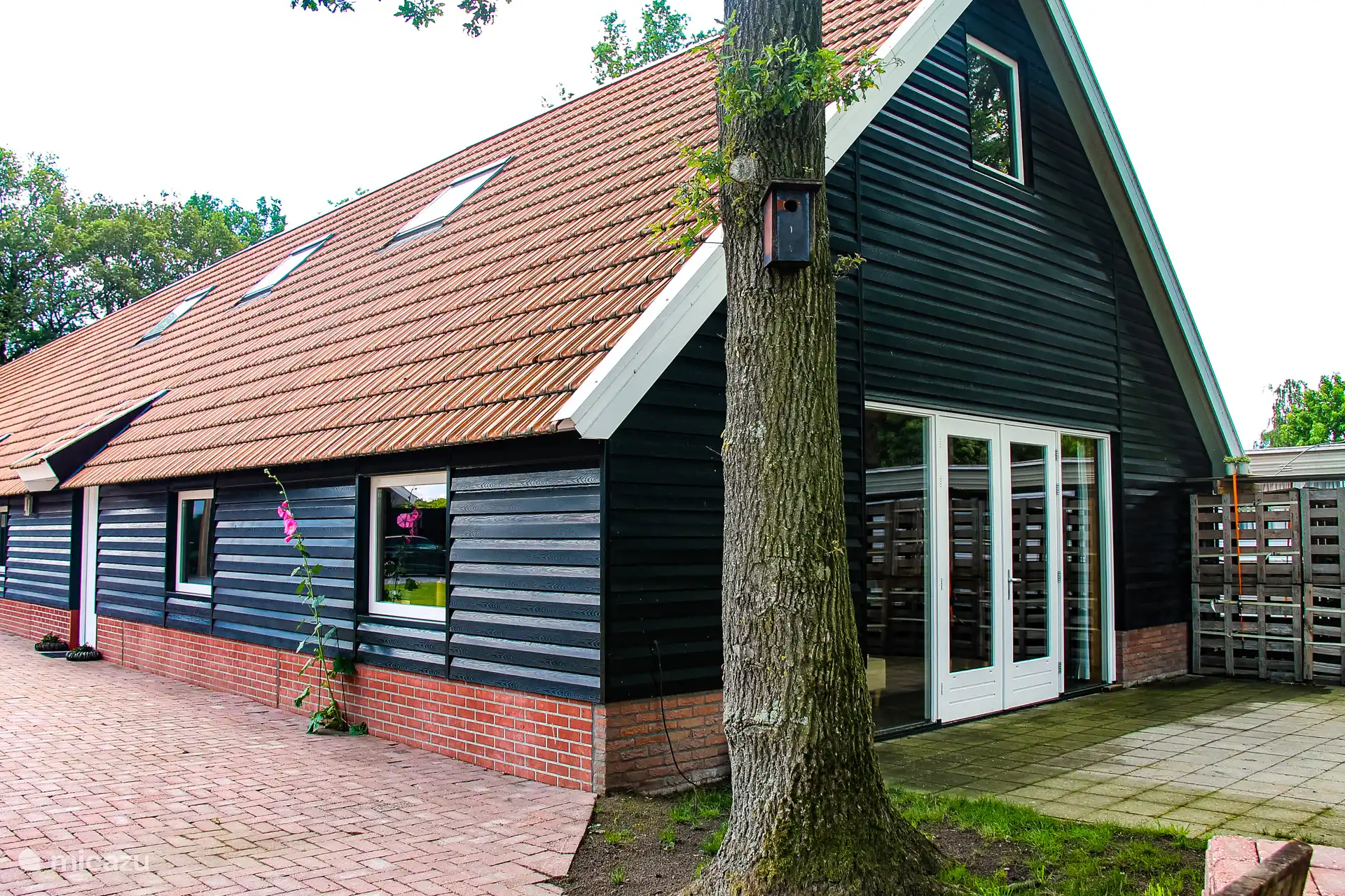 Vue extérieure à l’arrière de la terrasse et sur le côté