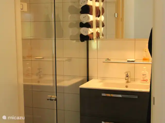 Jannahoeve huren in Nederland, Overijssel, Denekamp - boerderij Badkamer