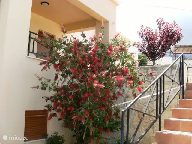 villa huren in Griekenland, Kreta, Pigi/Rethymno – Villa Stefanos, zwembad en zeezicht Prive parking plaats naast de trap die toegang geeft naar de ingang van de villa die gelegen is op een hoger niveau dan de lokale weg.