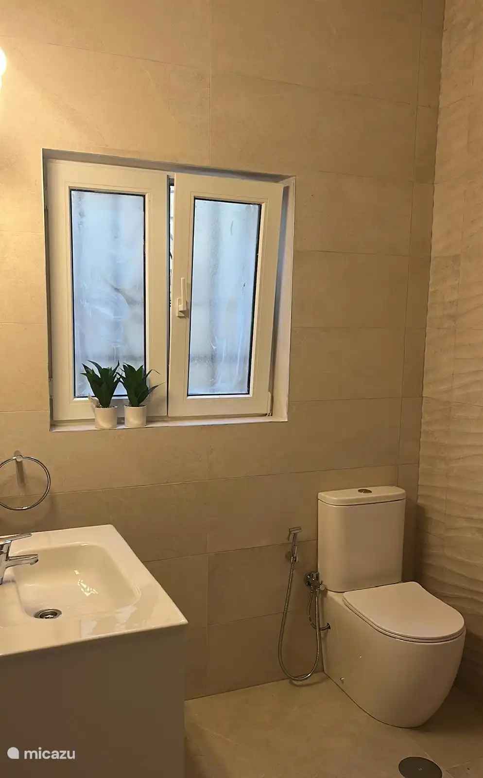 Bathroom master bedroom - toilet