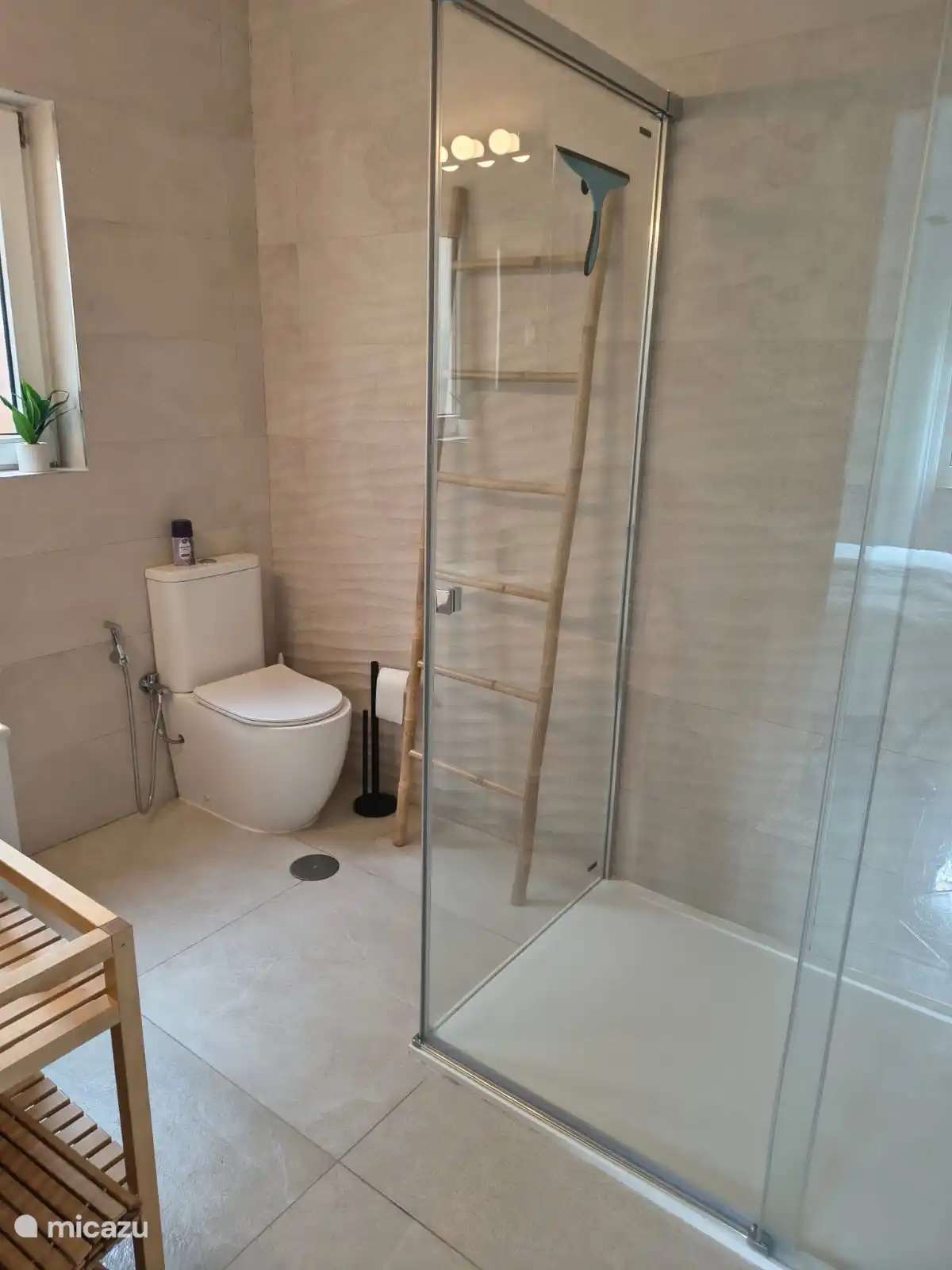 Bathroom master bedroom - shower cabin