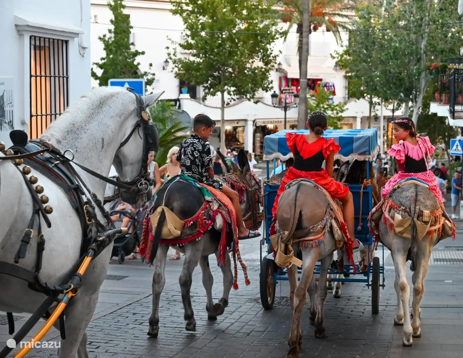 Geführte Tour zu Pferd und mit der Kutsche oder auf einem Esel in Mijas Pueblo.
