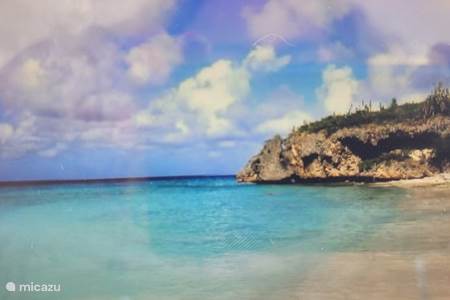 De vele prachtige stranden vind je hier op Curaçao 
