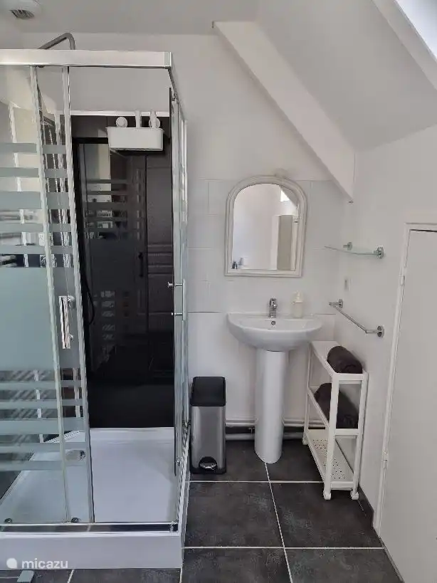 Badezimmer 1 (von 3) Dusche/WC  