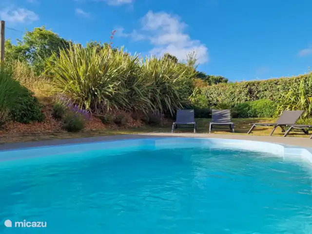 Villa Azure Heaven Les Sables huren in Frankrijk, Vendée, Les Sables-d'Olonne - villa Zwembad en een deel van de tuin