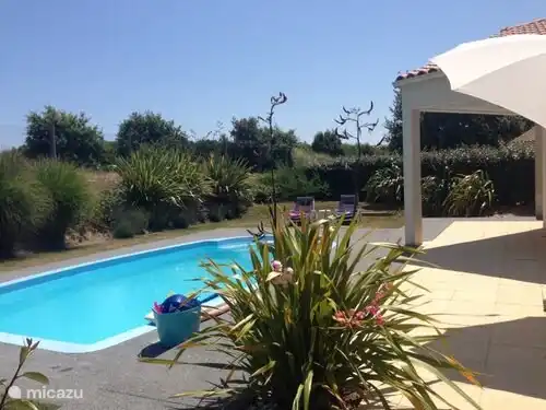 View from the garden 