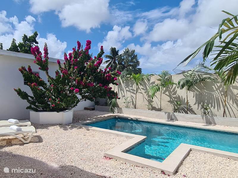 Ferienwohnung Curaçao, Curacao-Mitte, Jongbloed Appartement Flamingo