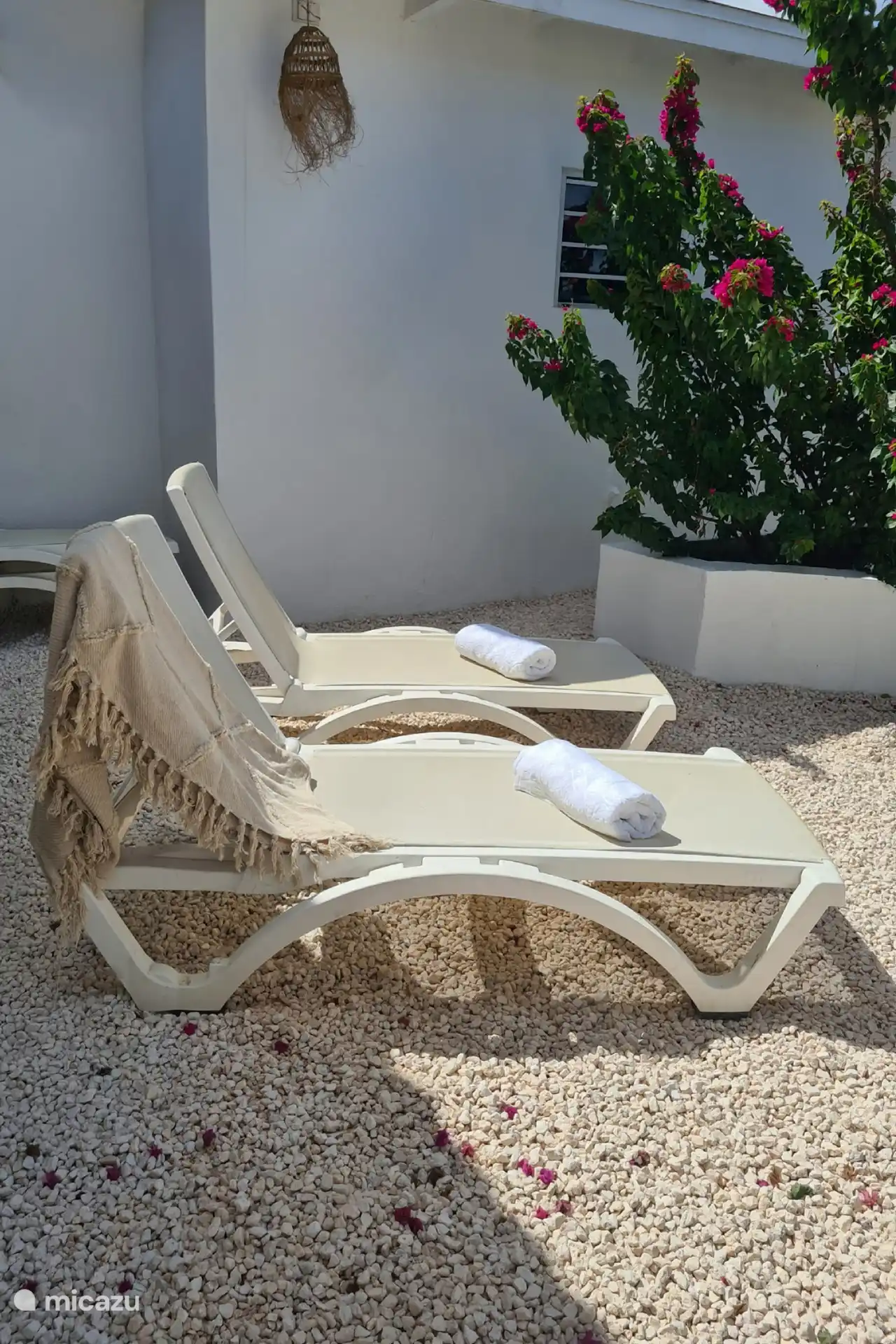 sun loungers