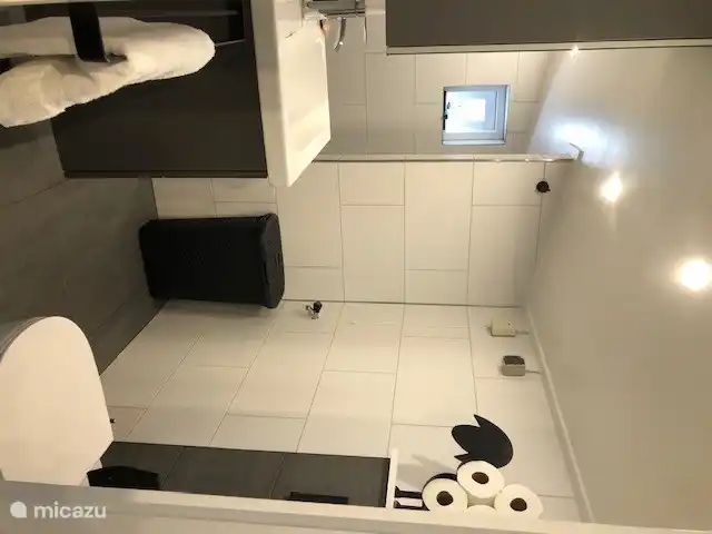 La salle de bain contient des toilettes, une douche, un lavabo, un panier à linge, un sèche-serviettes, un radiateur design et une armoire de toilette.