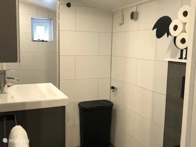 Bergerie | Pays-Bas, Gueldre, Voorthuizen - maison de vacances La salle de bain contient des toilettes, une douche, un lavabo, un panier à linge, un sèche-serviettes, un radiateur design et une armoire de toilette.