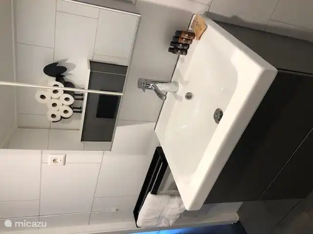 Il y a suffisamment d’espace pour les articles de toilette dans le lavabo et dans l’armoire de toilette.