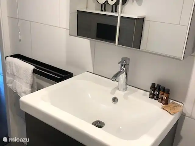 Bergerie | Pays-Bas, Gueldre, Voorthuizen - maison de vacances Il y a suffisamment d’espace pour les articles de toilette dans le lavabo et dans l’armoire de toilette.