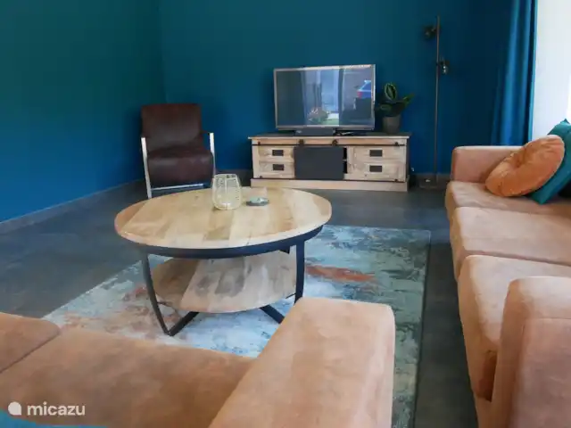 Reeënzicht huren in Nederland, Drenthe, Hoogersmilde - vakantiehuis Fauteuil - 2- en 3 zits bank