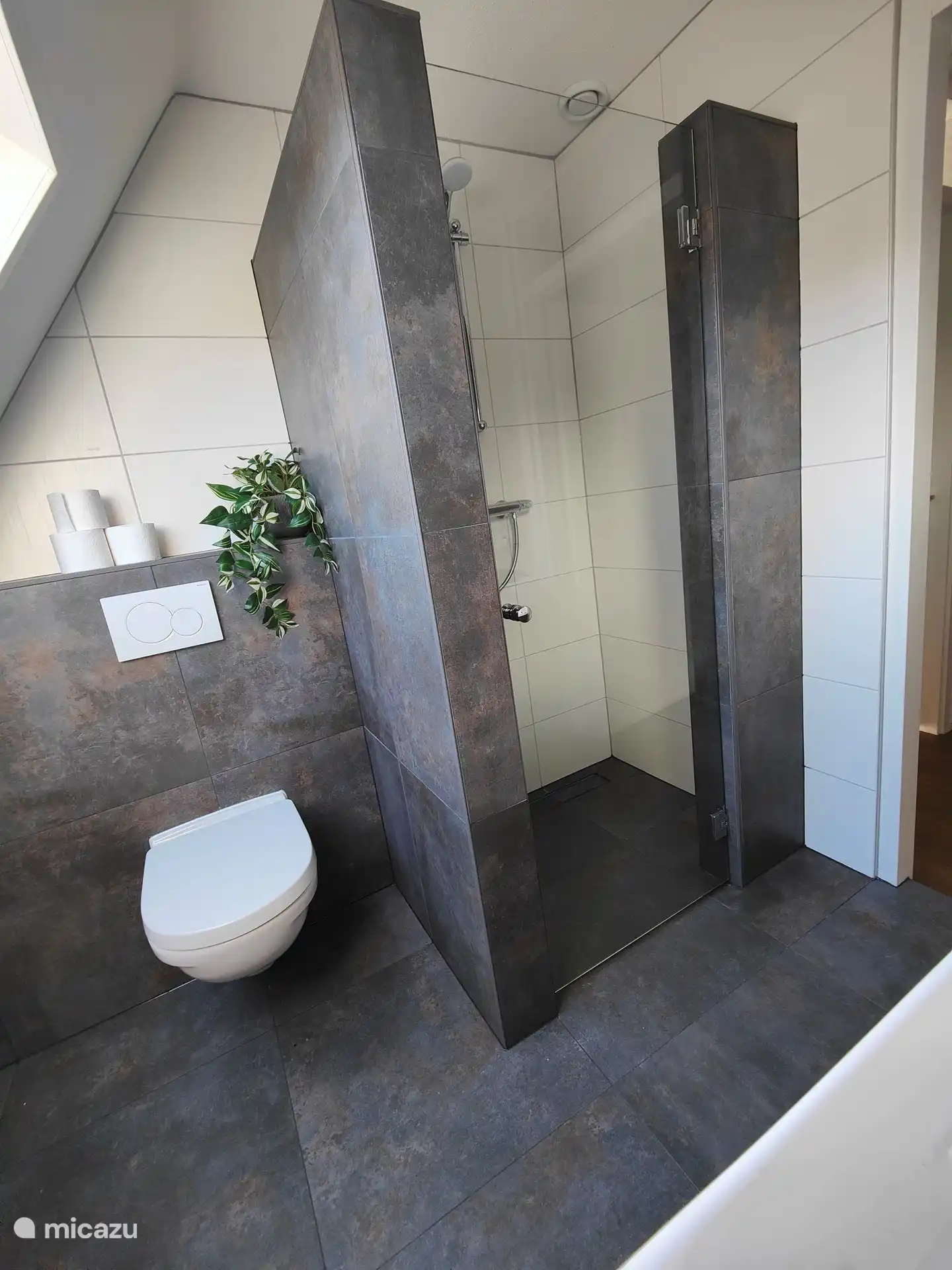 Douche à l'italienne 