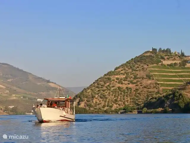 Villa Douro huren in Portugal, Costa Verde, Pinhao - villa De Douro