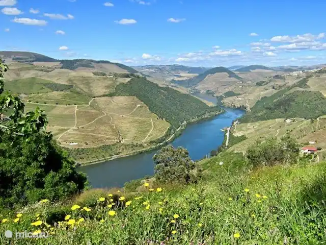 Villa Douro huren in Portugal, Costa Verde, Pinhao - villa Uitzicht