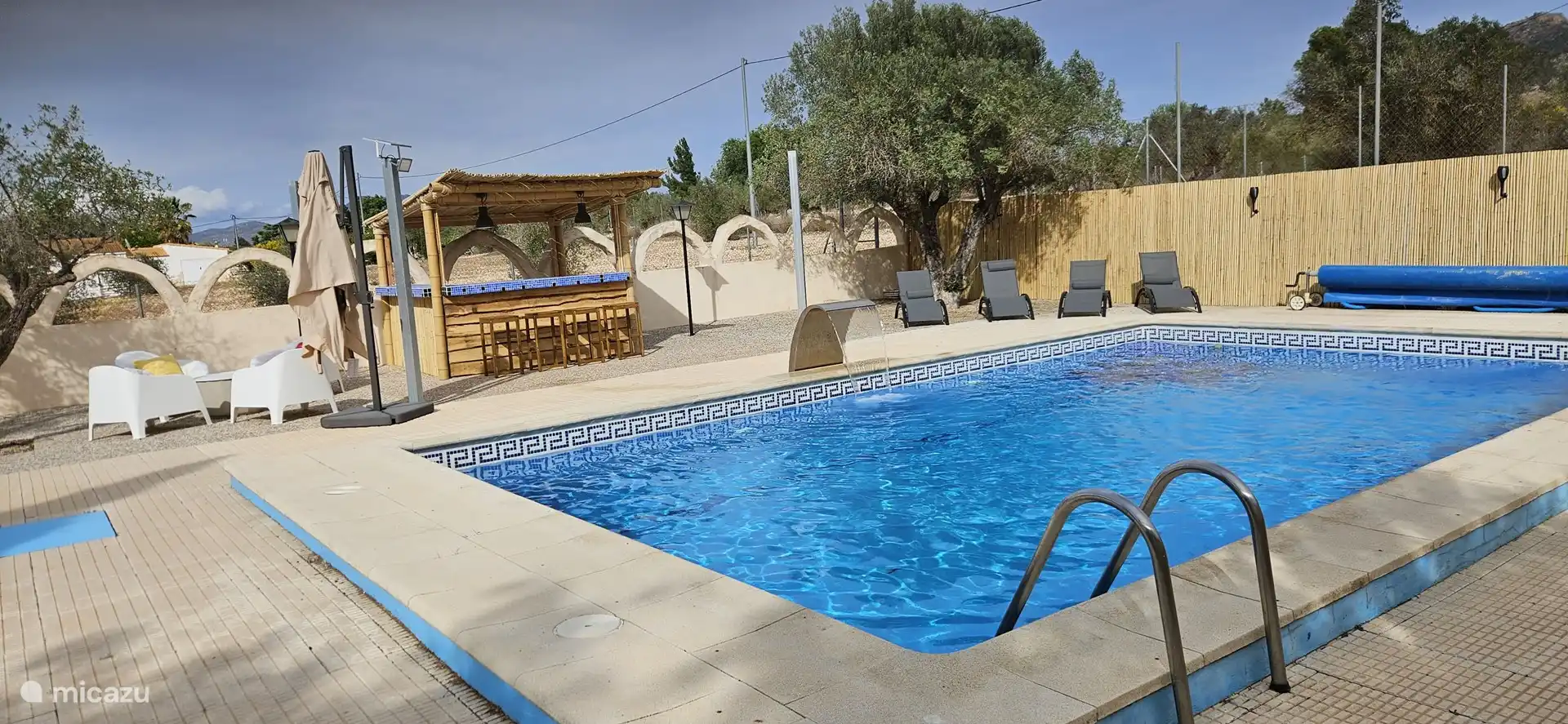 Zwembad met vier ligbedden voor zonnebaad