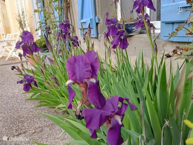 Les lits de Montbel en Francia, Aude, Sonnac-sur-l'Hers - vivienda urbana El clima puede ser muy agradable en febrero.