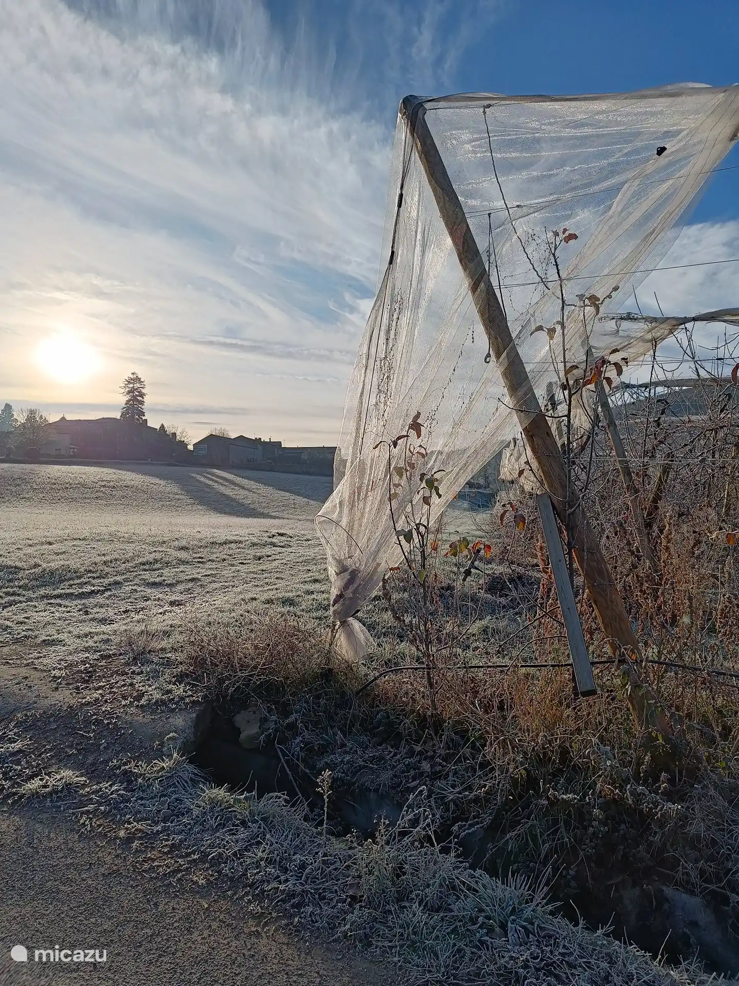 Winteransicht der Obstgärten mit Sonnac-sur-l'hers im Hintergrund