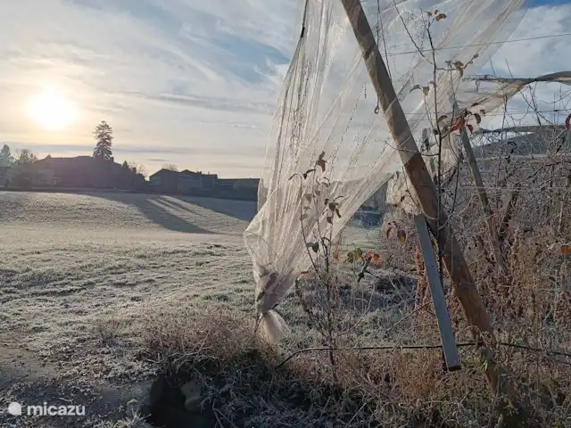 Les lits de Montbel en Francia, Aude, Sonnac-sur-l'Hers - vivienda urbana Vista invernal de los huertos con Sonnac-sur-l'hers al fondo